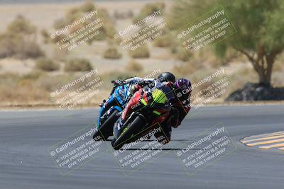 media/May-14-2023-SoCal Trackdays (Sun) [[024eb53b40]]/Turn 5 Tree of Life (1125am)/